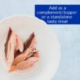 tuna_feeding